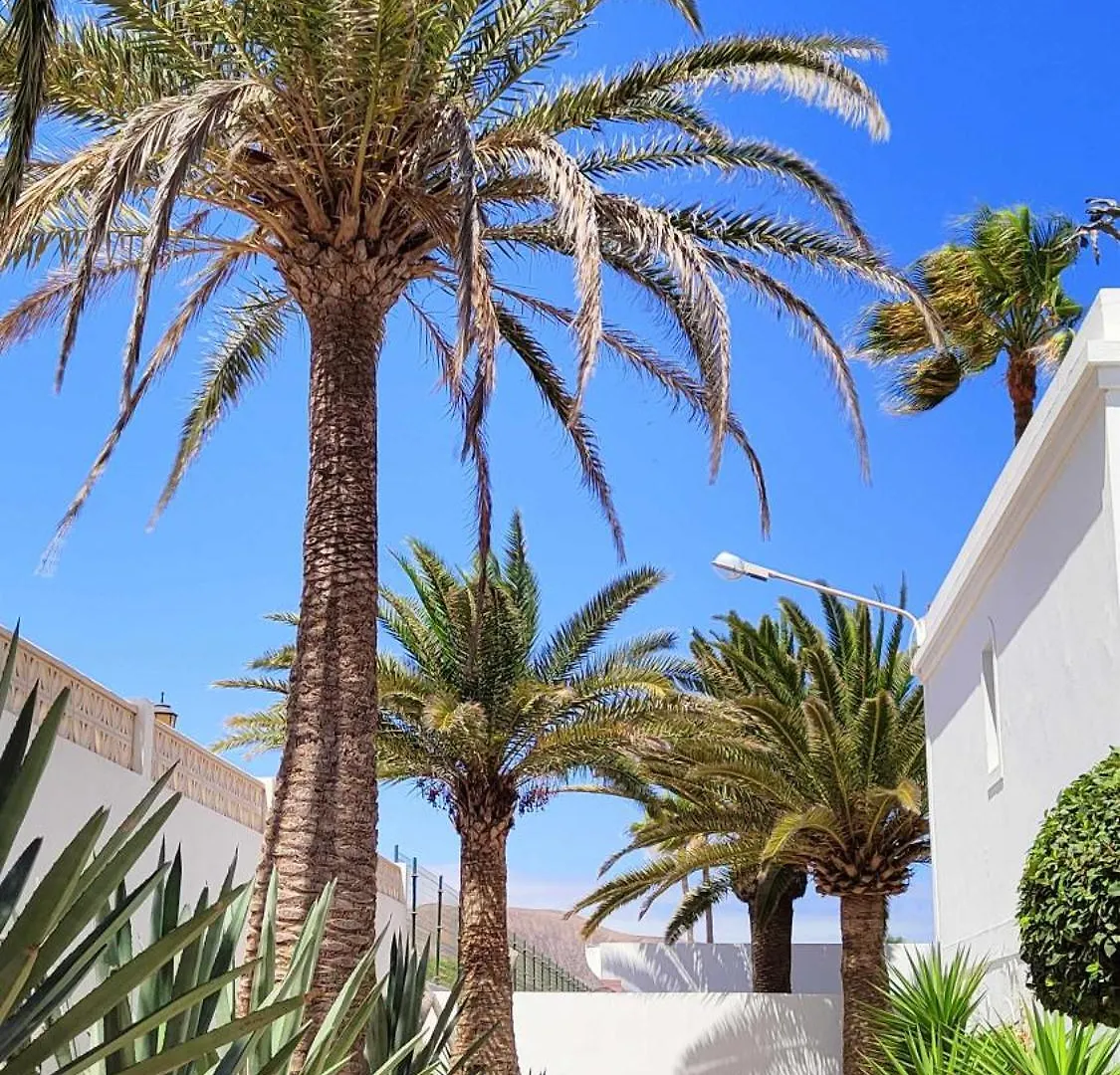 Corralejo Dunas Pools Wifi Tennis Relax 0*,
